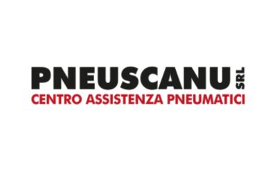 PNEUSCANU